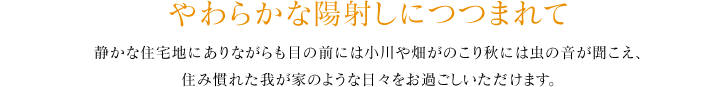 やわらかな陽射しにつつまれて