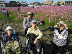 皆さんでコスモス見学へ！