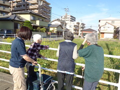 久しぶりのお散歩