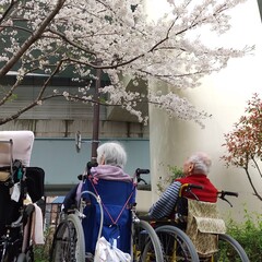 小春日和に誘われて…