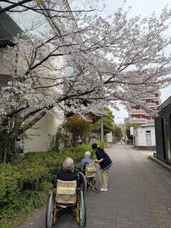 花見