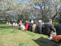 桜！花見に行ってきました。
