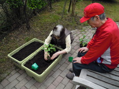 ～野菜作りを始めました～