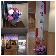あじさい祭り
