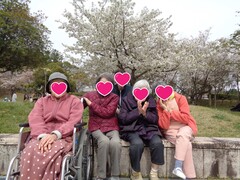 お花見① ～桜と海～